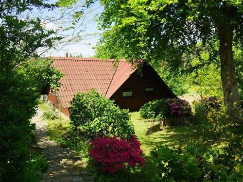 Feriehus - 3 personer -  - 21398 - Süttorf