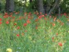 Bild 15