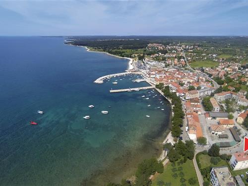 Holiday apartment - 4 persons -  - Vladimir Gortan - 52212 - Fazana