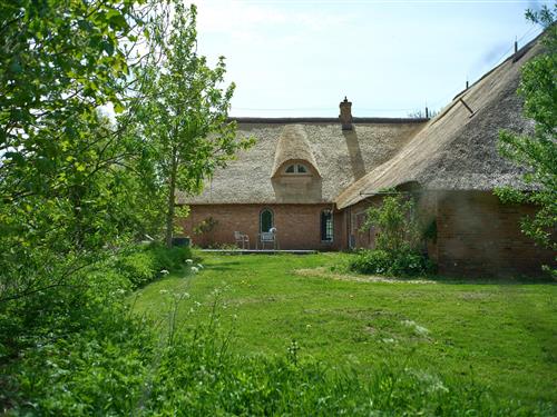 Semesterhus/Semesterlägenhet - 2 personer -  - Kornkoogweg - 25836 - Garding, Kirchspiel