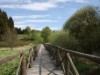 Image 28