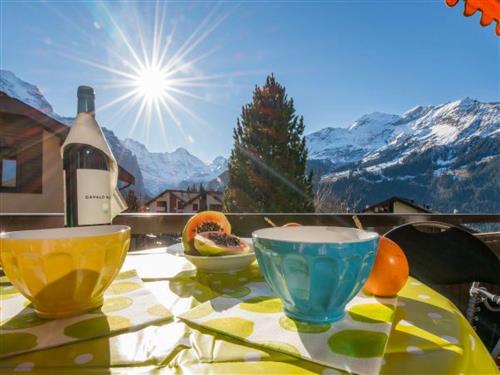Ferieleilighet - 4 personer -  - Lauterbrunnen - 3823