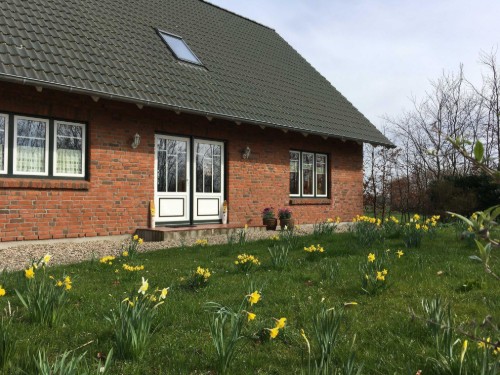 Ferielejlighed - 3 personer -  - Goosend - 24395 - Gelting