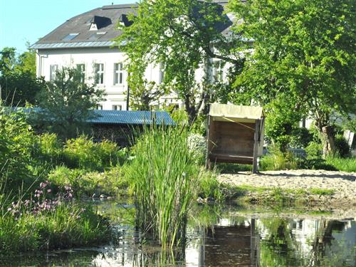 Ferielejlighed - 3 personer -  - Grabower Str. - 18445 - Groß Mohrdorf / Nisdorf