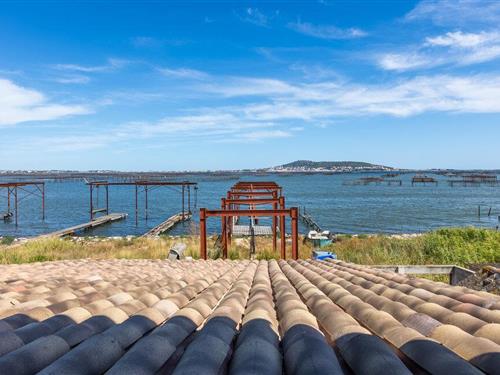 Holiday home - 4 persons -  - Rue de la daurade - 34140 - Loupian