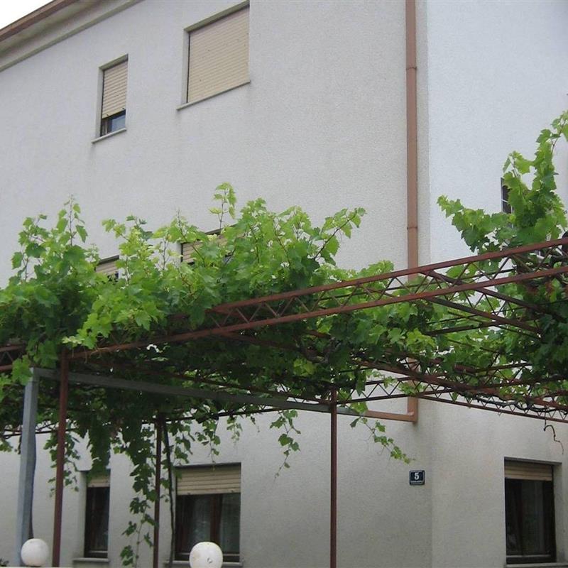 Ferielejlighed - 8 personer -  - Hrvatskog branitelja - 21217 - Kaštel Novi