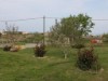 Billede 11