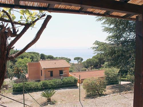 Holiday Home/Apartment - 2 persons -  - Madonna delle Grazie - 57031 - Madonna Delle Grazie