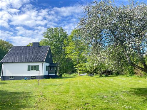  - 5 persons -  - Sjöholmen - Eslöv - 24175 - Stehag