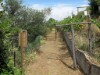 Image 23 - Outside
