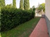 Billede 17
