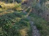 Billede 16
