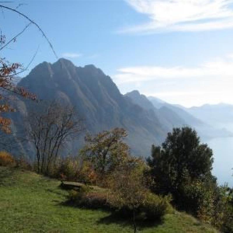 Sommerhus - 2 personer -  - Fonteno - 24060