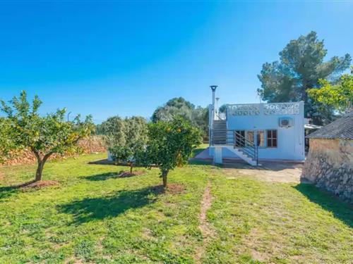 Sommerhus - 4 personer -  - 07620 - Llucmajor, Illes Balears