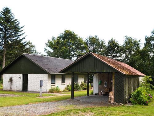 Sommerhus - 6 personer -  - Østmarken - Arrild - 6520 - Toftlund