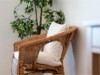 Bild 11 - Inde