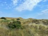 Billede 17