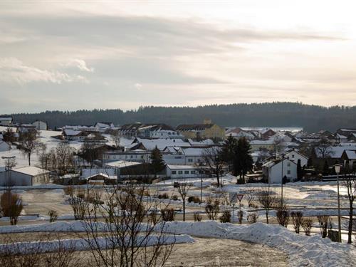 Feriehus / leilighet - 4 personer -  - Ringstraße - 93499 - Zandt