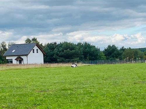 Sommerhus - 6 personer -  - 72514 - Kolczewo