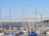 Billede 30 - Udsigt over vand