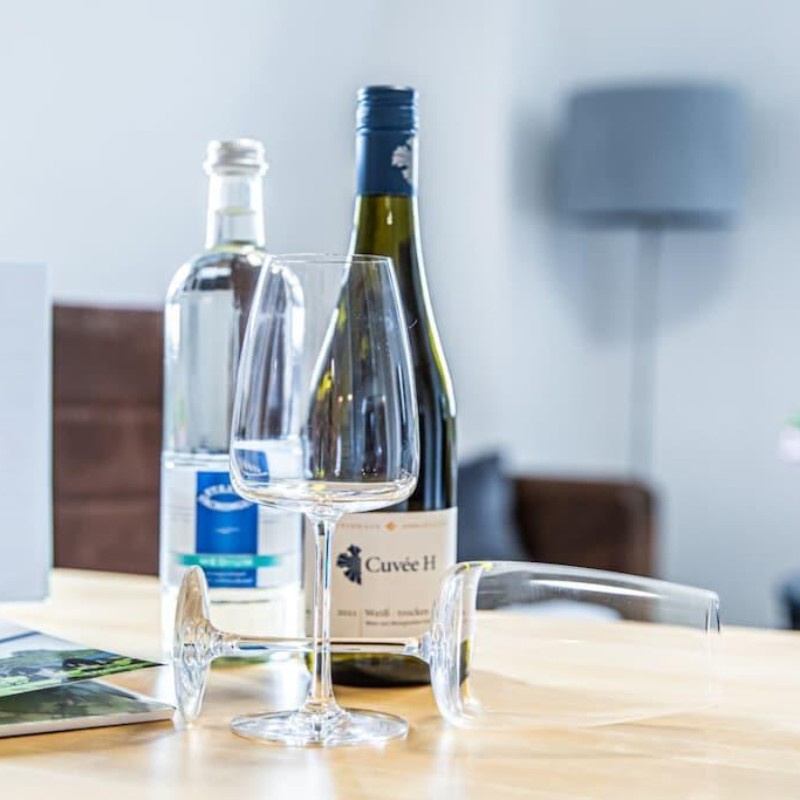Sommerhus - 4 personer -  - 01445 - Radebeul