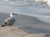 Bild 19 - Aussen