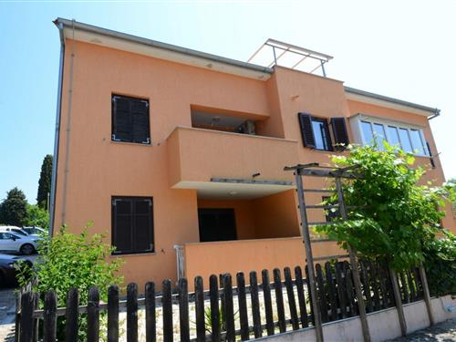 Holiday apartment - 5 persons -  - 52440 - Porec