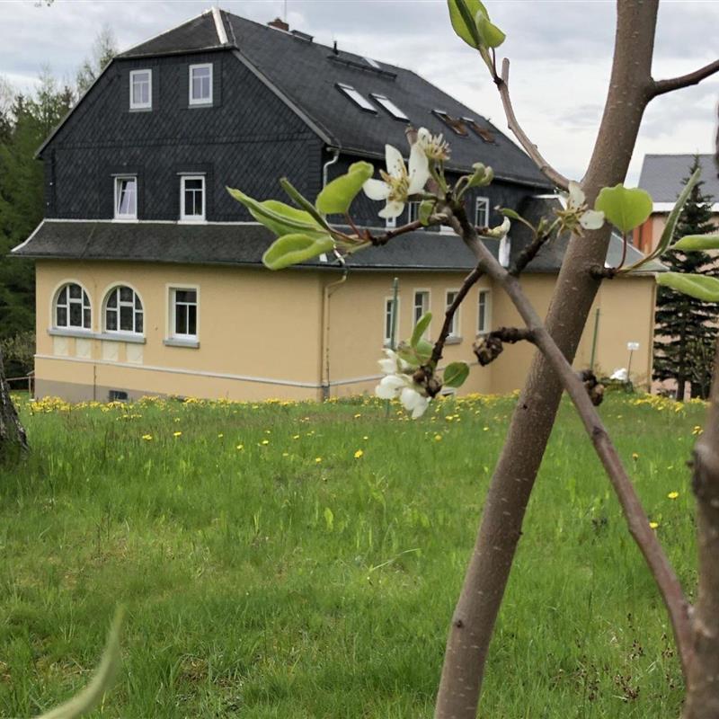 Ferielejlighed - 2 personer -  - Hauptstr. - 09544 - Neuhausen-Erzgebirge