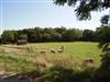 Bild 15 - Aussicht