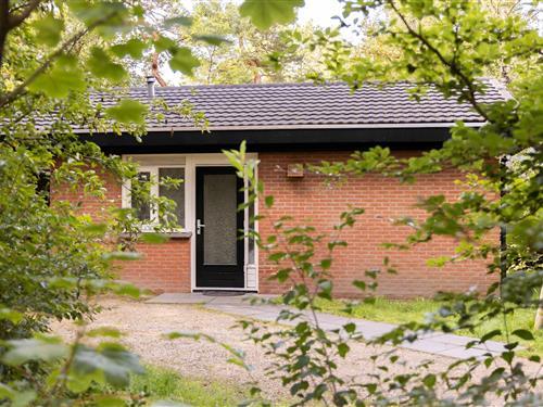 Bungalow - 6 personer -  - 3881SE - Putten
