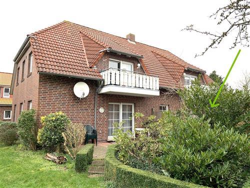 Sommerhus - 4 personer -  - Norddeicher Str. - 26506 - Norddeich