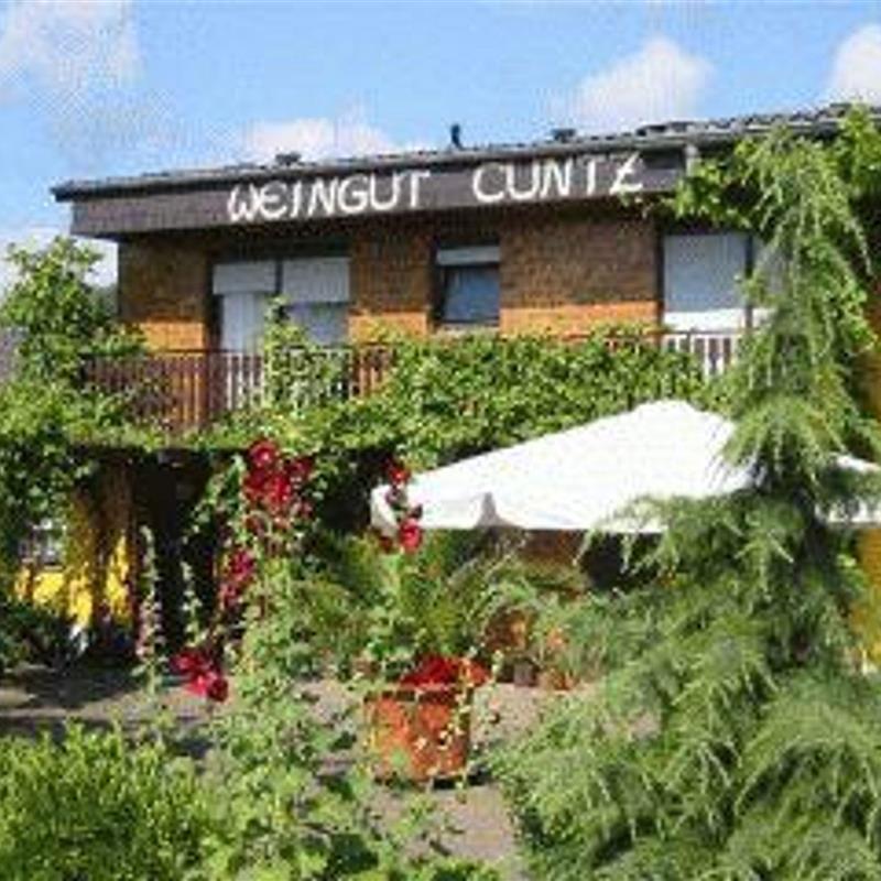 Ferielejlighed - 4 personer -  - Wasgaustraße - 76889 - Schweigen-Rechtenbach