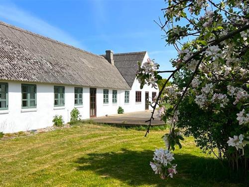 Sommerhus - 6 personer -  - Gammel Østerbyvejen - Østerby - 9940 - Læsø