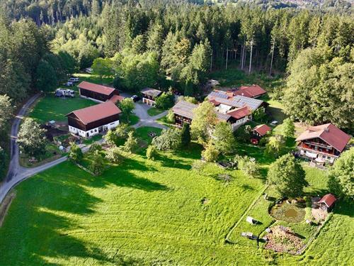  - 4 persons -  - Daxberg - 94536 - Eppenschlag