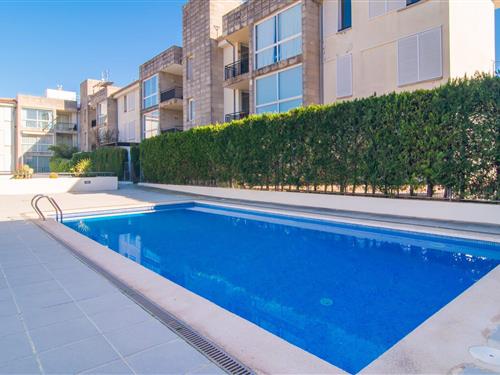 Holiday apartment - 4 persons -  - Carrer del Melicotoner - Mirella, Pollenca - 07470 - Pollenca