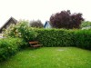 Bilde 27