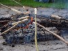 Bild 15