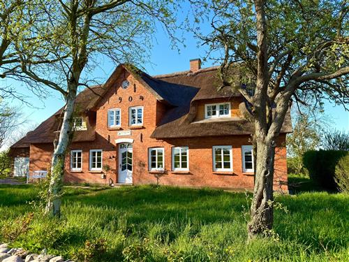 Ferieleilighet - 4 personer -  - Klein Dunsum - 25938 - Dunsum