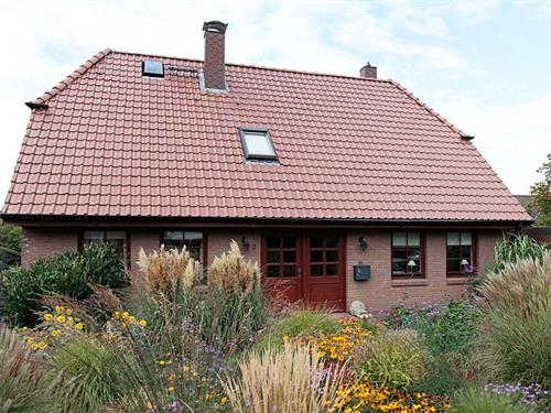 Ferieleilighet - 1 person -  - Birkenweg - 24784 - Westerrönfeld