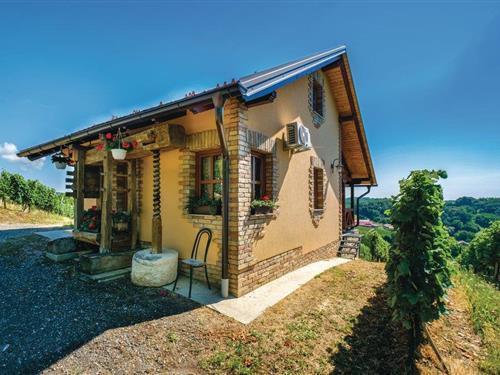 Holiday home - 4 persons -  - Vinogradarska - Hrnjanec-Sv.Ivan Zelina - 10382 - Hrnjanec