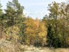 Billede 10 - Ude