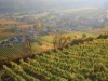 Bilde 8