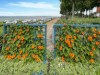 Bild 22