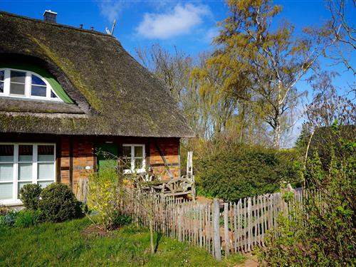 Feriehus - 6 personer -  - Hinter Wangern - 23999 - Insel Poel