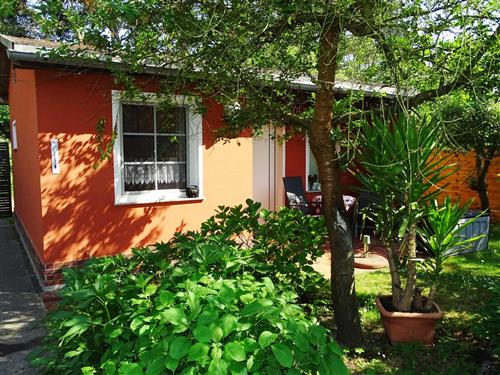 Ferielejlighed - 2 personer -  - Strandstraße - 17459 - Loddin / Kölpinsee