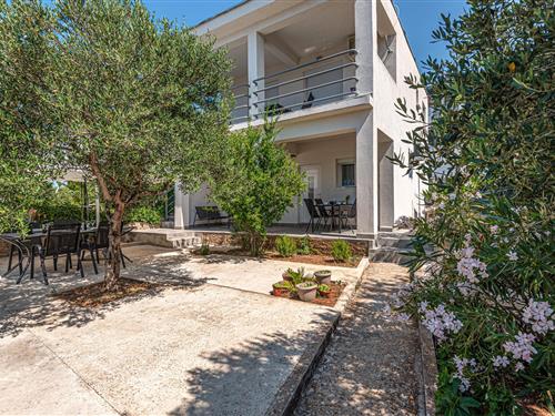 Sommerhus - 4 personer -  - Predraga Sumere - Sibenik-Zaboric - 22000 - Zaboric