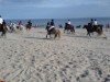Billede 15