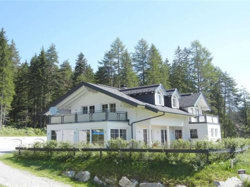 Holiday Home/Apartment - 6 persons -  - 8973 - Ramsau Am Dachstein