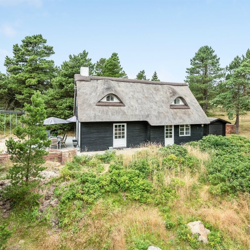 Ferienhaus - 8 Personen -  - Vestergårdsvej - 6792 - Römö