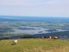 Bild 89 - Ude